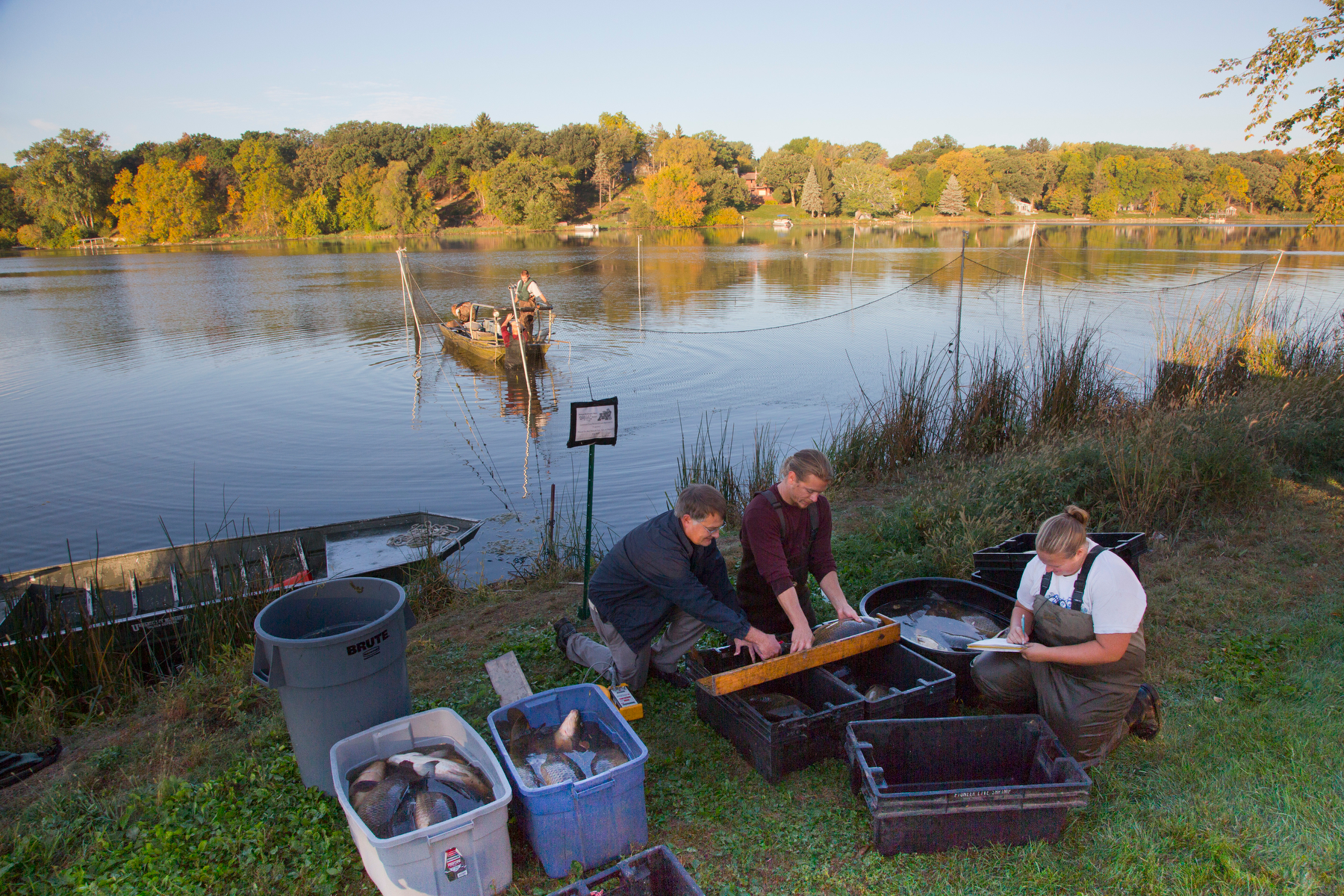 Gathering Data on Carp | Open Rivers Journal
