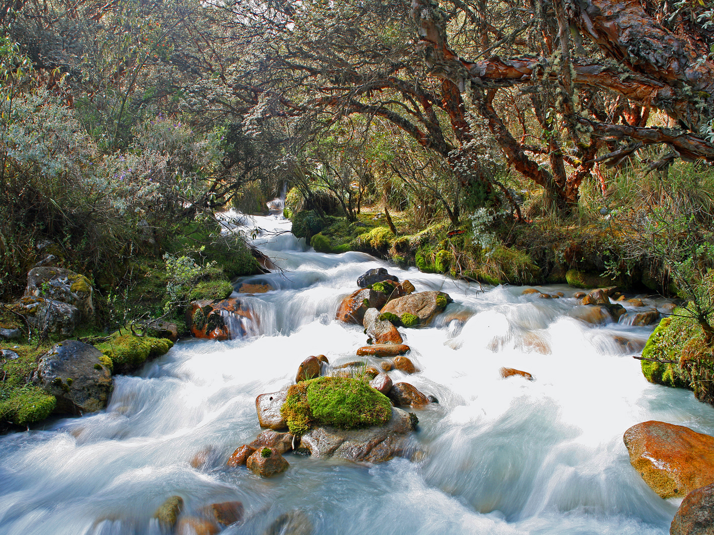 Abundant Water | Open Rivers Journal