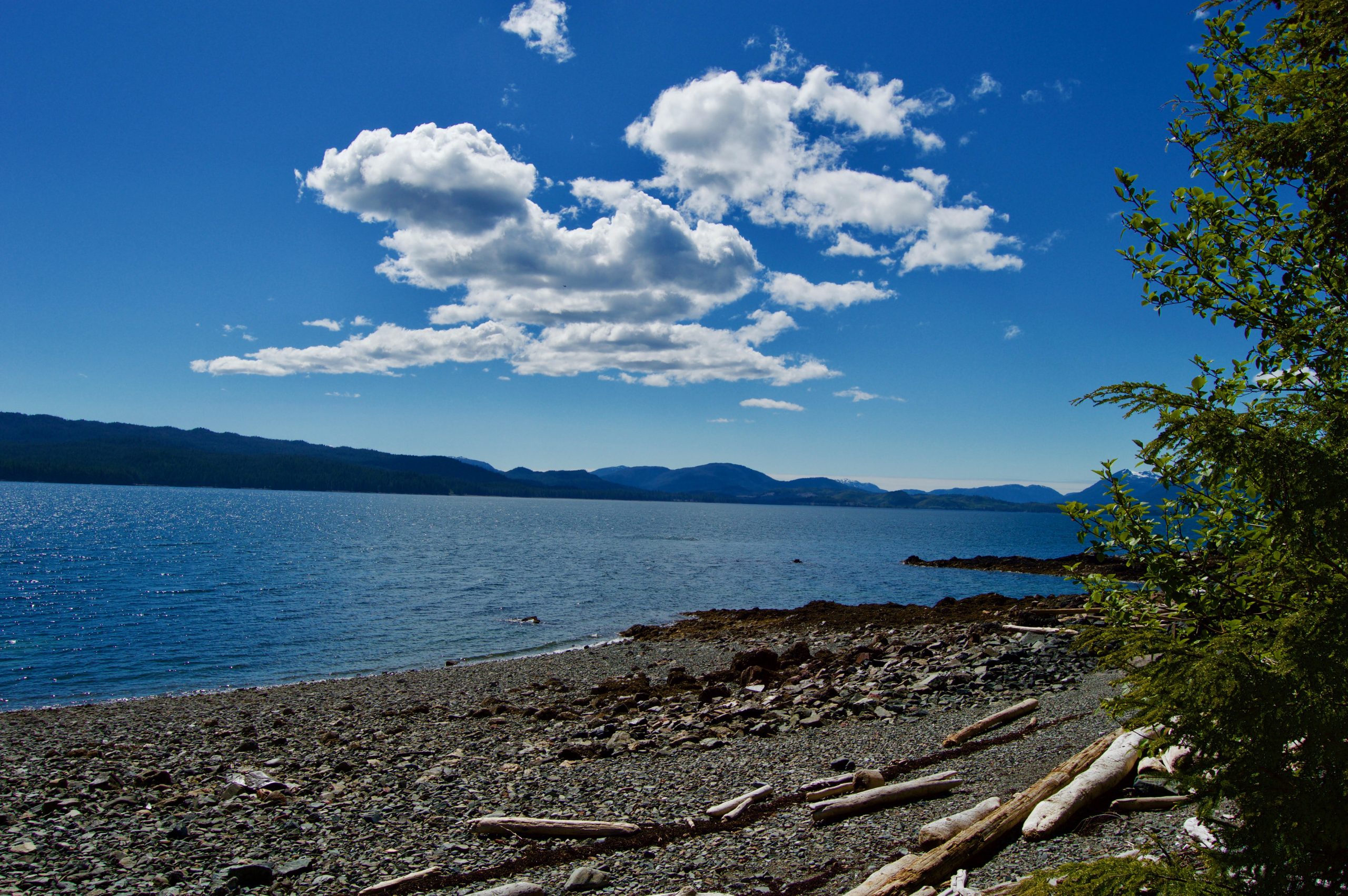 Coastal Waters Open Rivers Journal