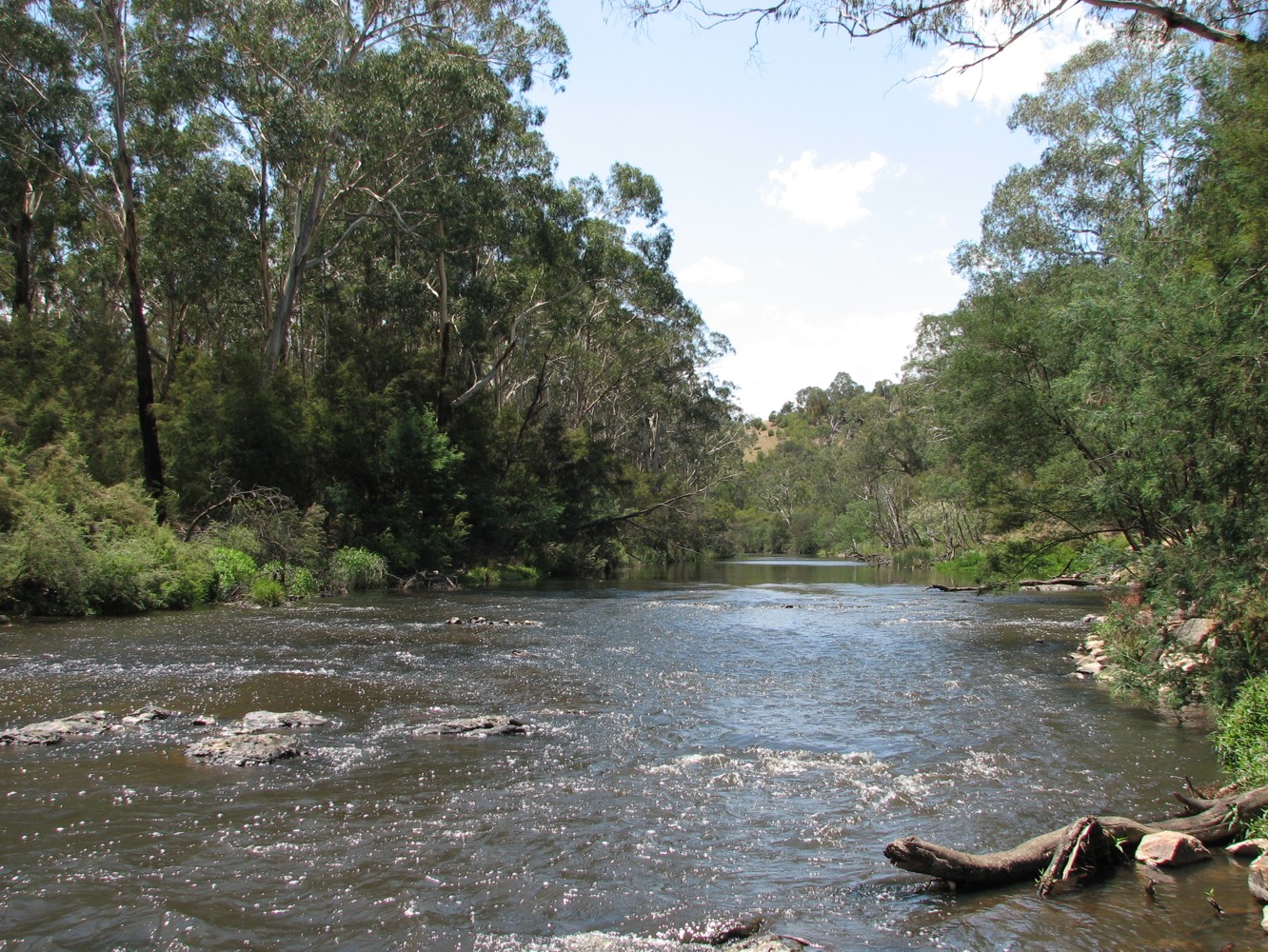 Yarra RIver, Wonga Park | Open Rivers Journal